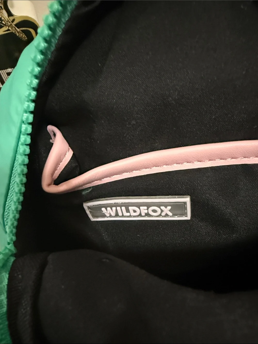 Wildfox Mint Green Crossbody Sling Bag